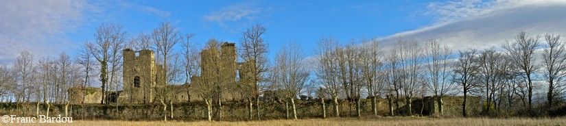 chateau de Lagarde 02 par Franc Bardou