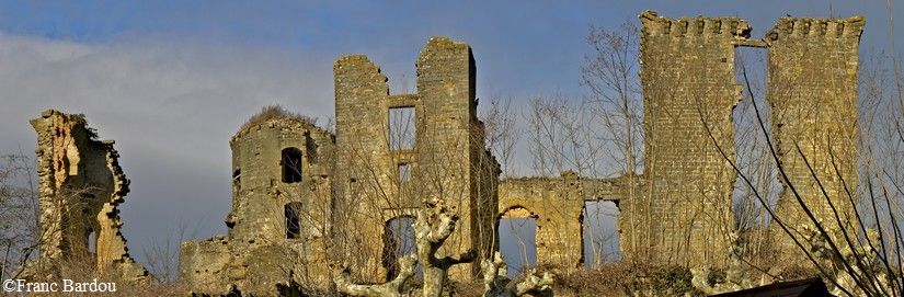 chateau de Lagarde 10 par Franc Bardou