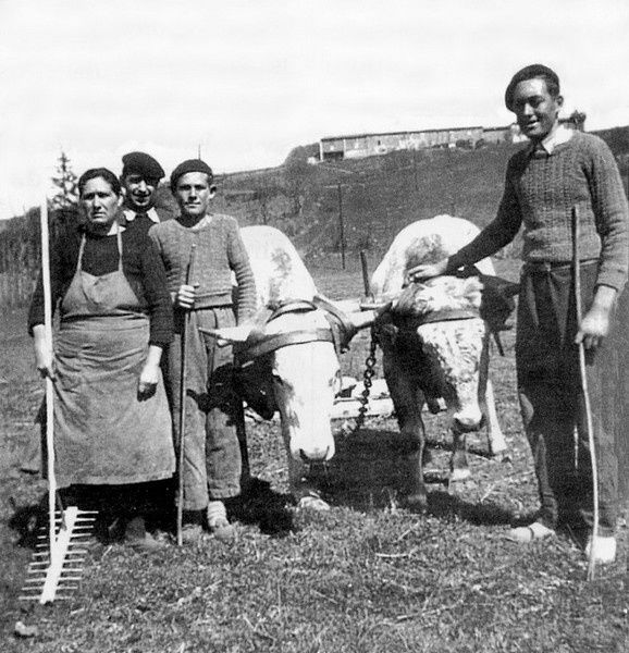 La famille Maugard aux champs en 1950