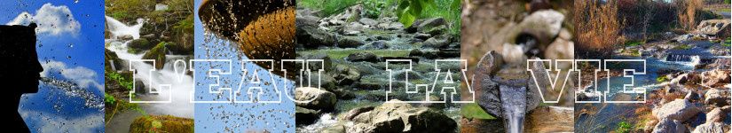 bandeau l'eau la vie