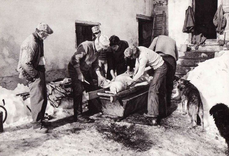 tuer le cochon 03 en 1955
