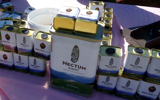 nectum2