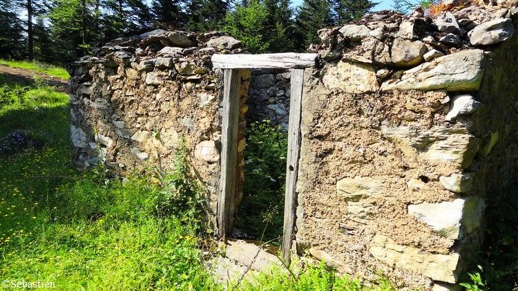 101 La cabane forestière du gourg