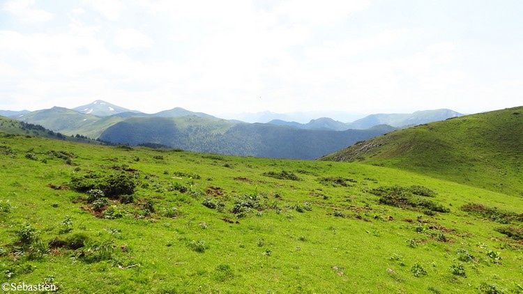 79 En descendant - vue vers le sud et le Pic Tarbé