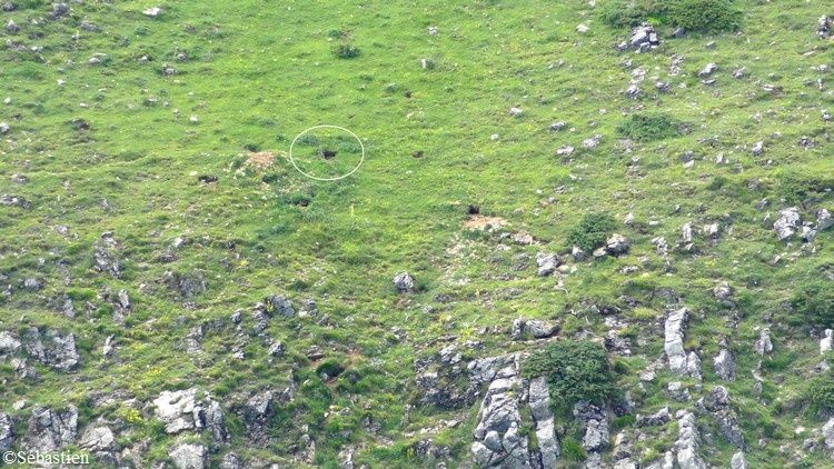 80 A l'endroit où se rencontrent les pentes du Pic