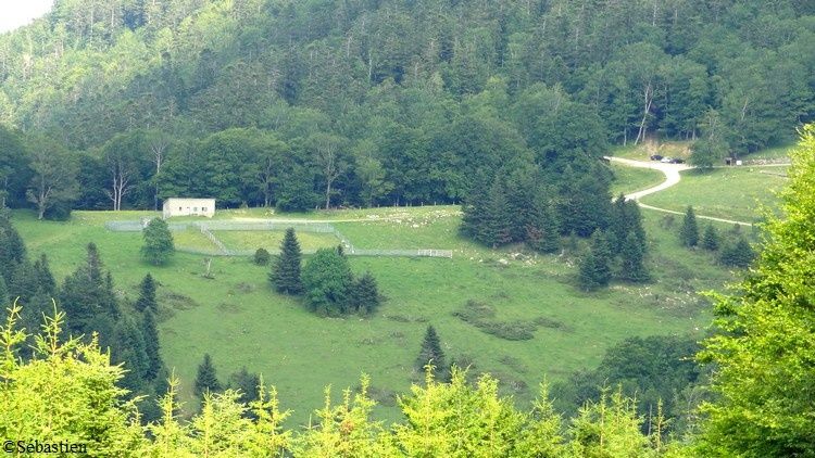 94 En descendant - La bergerie du Col de Tourrugue
