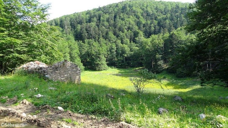 99 Le gourg et sa cabane forestière