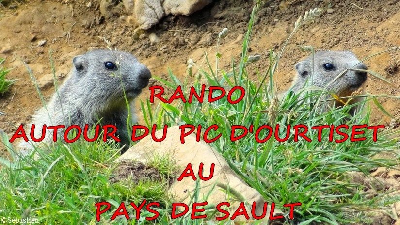 Marmottes d'Ourtiset par Sébastien