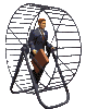 employer009.gif