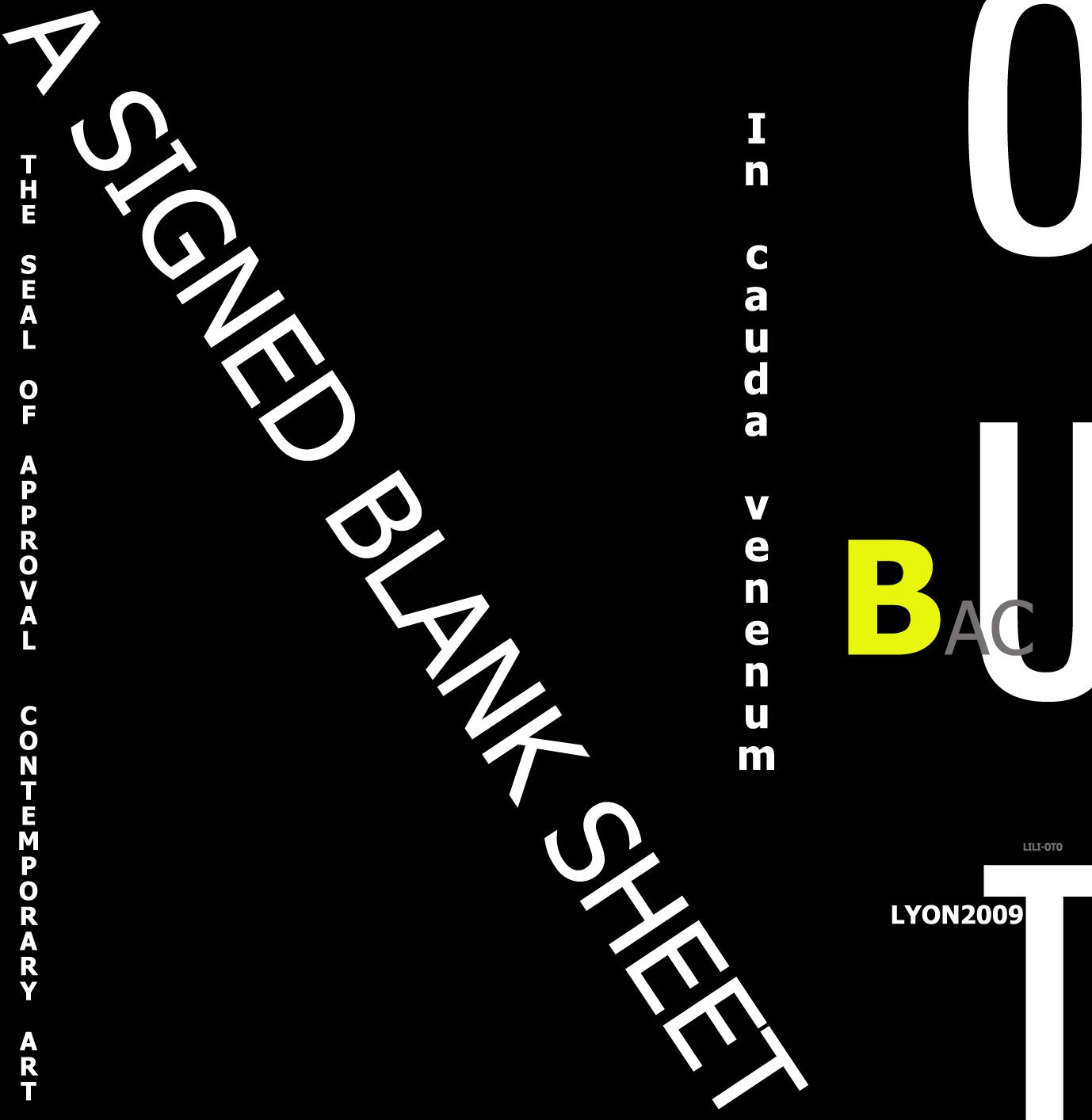 lyon art biennial lyon art biennial