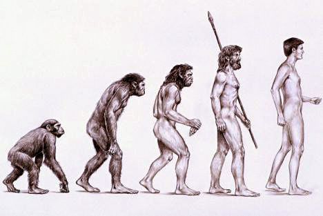 evolution-de-l-homme1.jpg