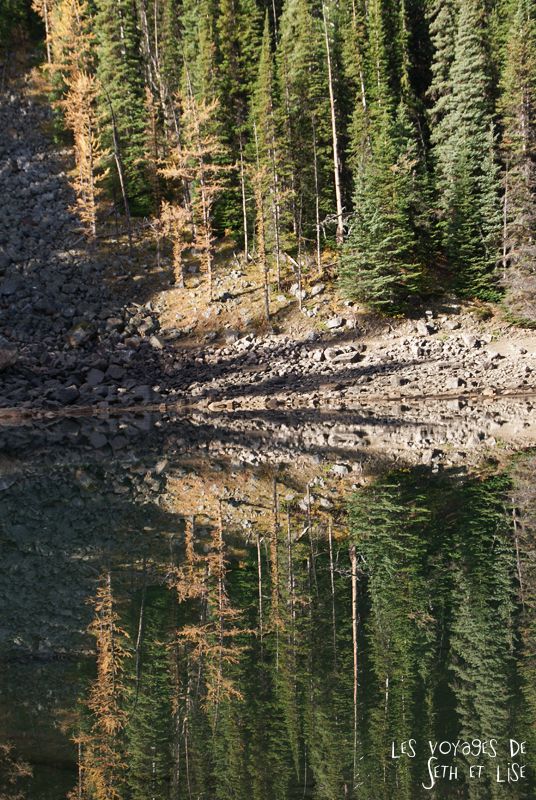 blog pvt photographie pvtiste canada alberta rocheuses rockies moutains voyage montagne couple tour du monde nature parc national lac lake mirror miroir