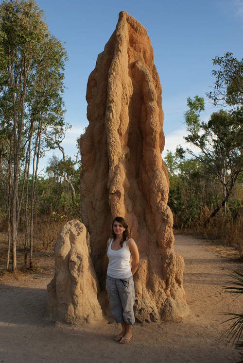 blog voyage australie australia whv backpacker termitiere termitary kakadu park 