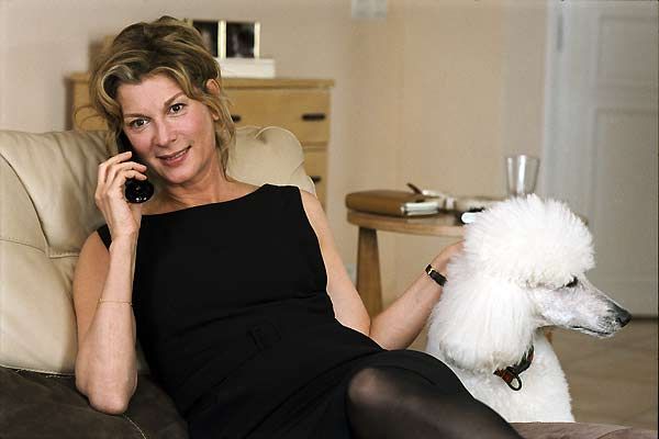 00768392-photo-michele-laroque-dans-enfin-veuve.jpg