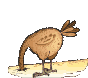 oiseaux-dindes-22.gif
