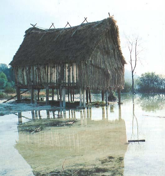 Maison expérimentale 1989