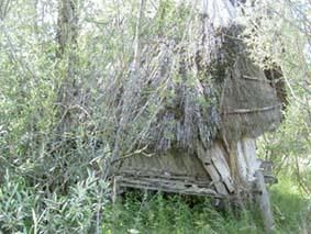 Maison expérimentale 2006