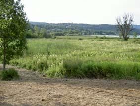 localisation Clairvaux VII