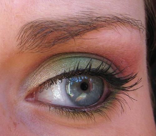 oeil_tropical_2_4.jpg
