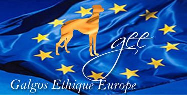 logo-bleu-galgos-ethique-europe-web4match-373