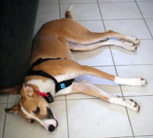 Un peu de repos
