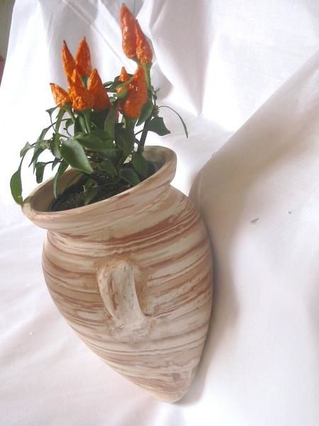 Série marbre : le pot modèle applique