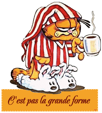 http://idata.over-blog.com/2/04/64/53/mes-images-2/mes-images-3/malade1.gif
