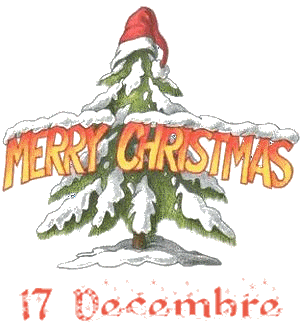 17.gif