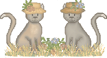 0hkatter_1.gif