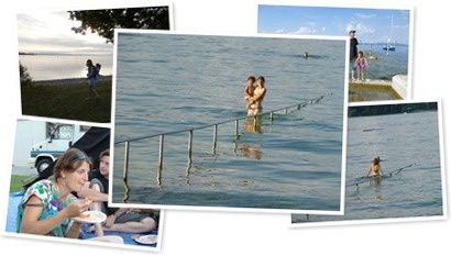 Afficher l'album