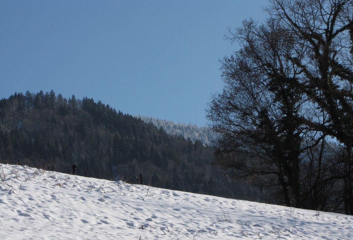 paysage3101.. paysage3101..