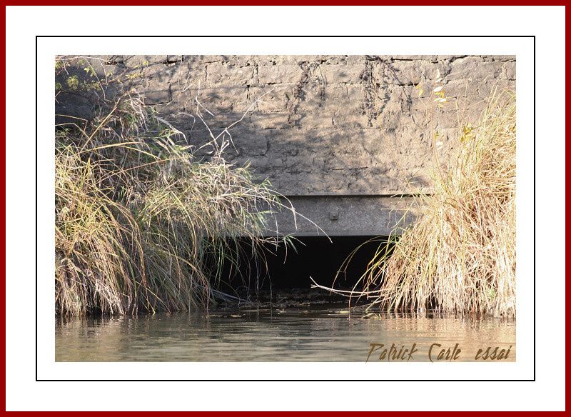 22 bragny 016-border