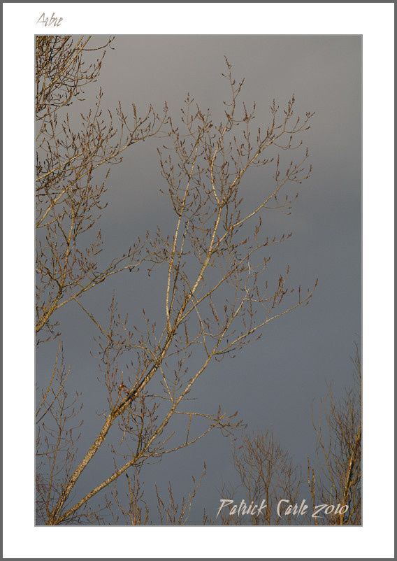 sortie-034-border.jpg