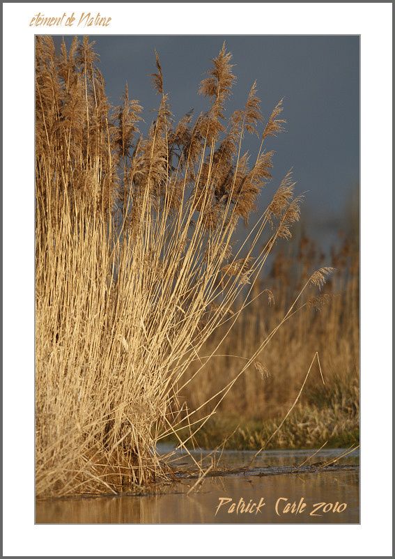 sortie-036-border.jpg