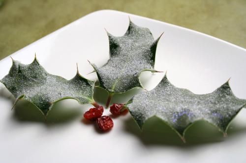 Feuilles de houx givrées  déco de Noël ! - Blog de cuisine créative,  recettes / popotte de Manue