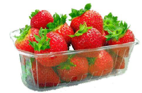 fraises-1.JPG
