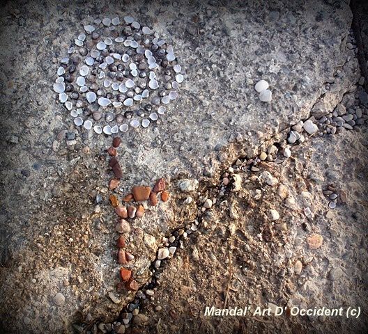 Fleur-Mandala-de-coquillages-sur-un-rocher-de-plage.JPG