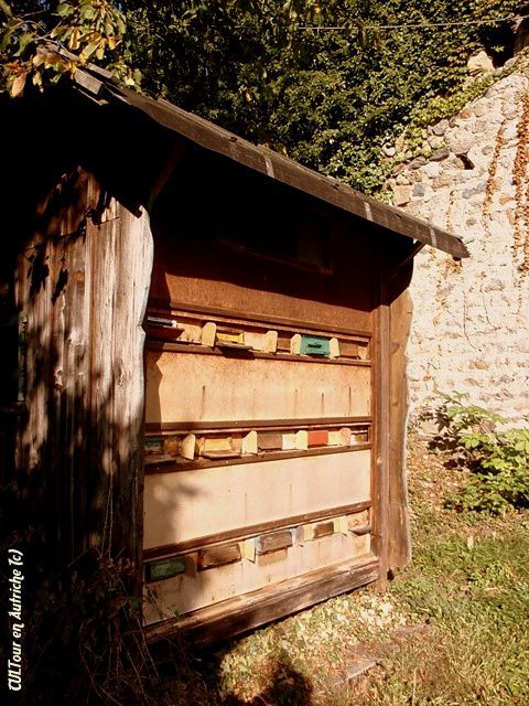 Grande ruche pour abeilles Tyrol du Sud (Italie)