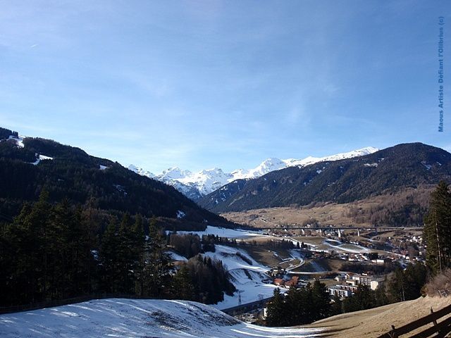 Vallee-de-Wipptal---vue-de-Steinach-in-Tirol.JPG