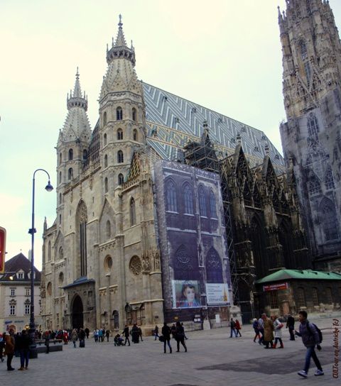 Cathedrale-de-Vienne-Stephansdom--Autriche.JPG