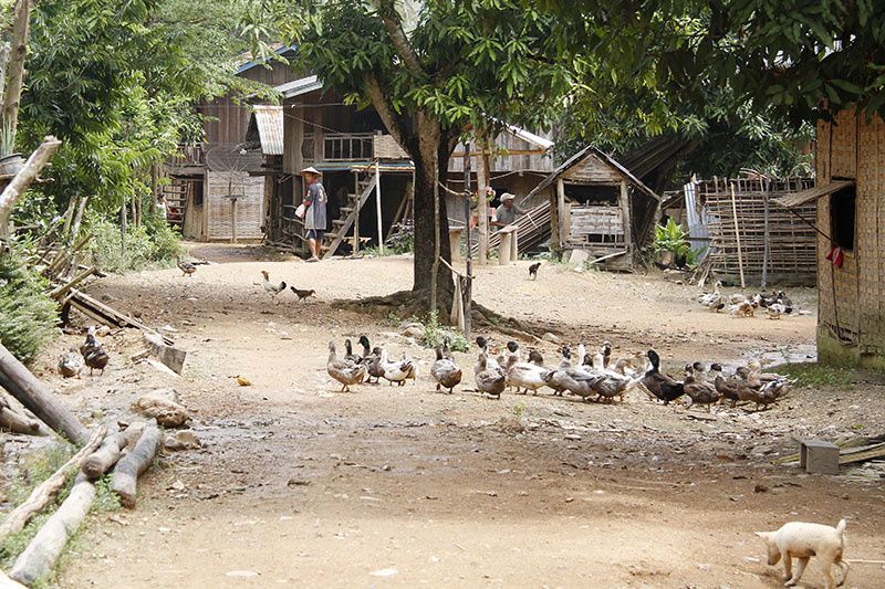 Village de Ban Na, Laos