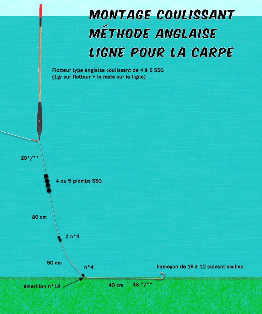 Regarder la pêche le silure