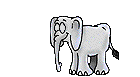 elephants003.gif