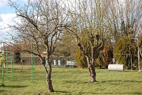 Photo-du-jardin-fevrier--dragon2010-A.jpg