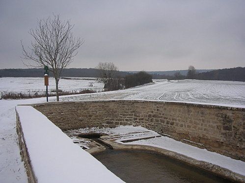 lamite-janvier.jpg