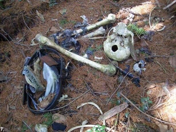 Aokigahara Jukai: La forest maudite Aokigahara_10
