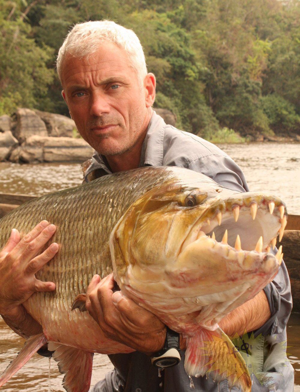 Le sac pour la pêche dans le magasin en ligne