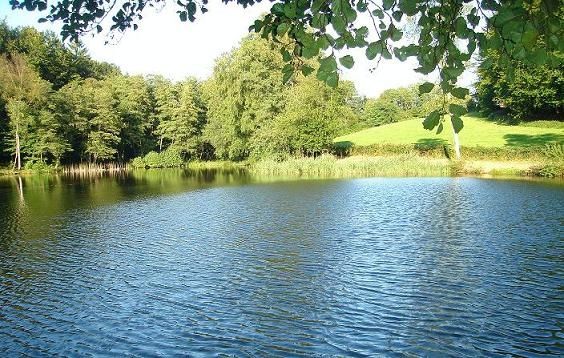 Etang-de-Ruaux-88370-Plombieres-les-Bains Etang-de-Ruaux-88370-Plombieres-les-Bains