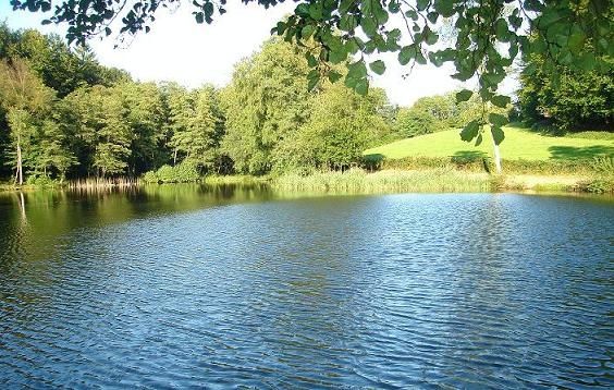 Etang-de-Ruaux-88370-Plombieres-les-Bains