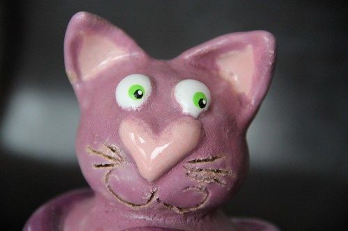 chat-mauve-4.jpg